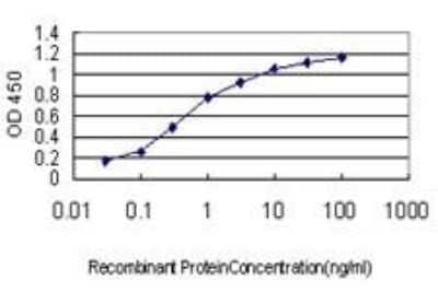 ELISA: M-CSFR/CD115 Antibody (1G4) [H00001436-M01]
