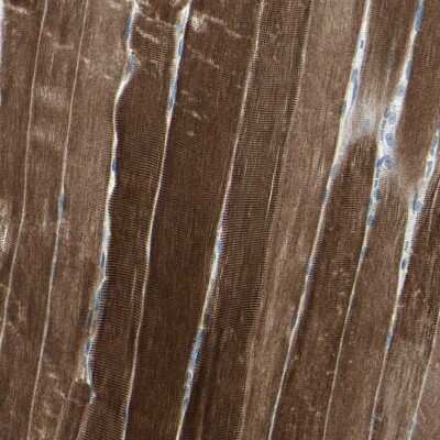 Immunohistochemistry-Paraffin: M-Cadherin/Cadherin-15 Antibody [NBP1-88101]