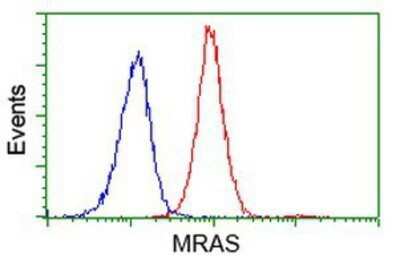 Flow Cytometry: M-Ras/R-Ras3 Antibody (OTI3C4) - Azide and BSA Free [NBP2-72776]