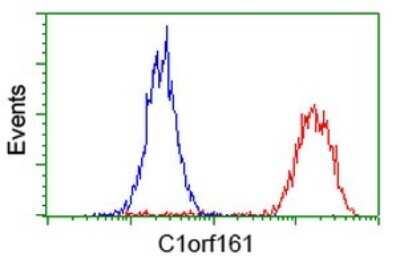 Flow Cytometry: MAB21L3 Antibody (OTI2A3) [NBP2-46598]