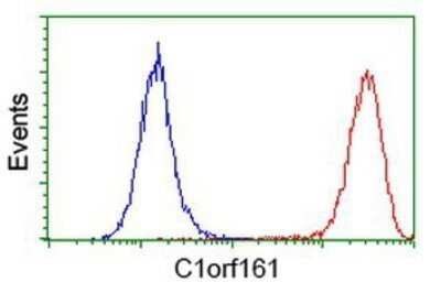 Flow Cytometry: MAB21L3 Antibody (OTI1F6) - Azide and BSA Free [NBP2-72563]