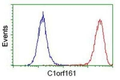 Flow Cytometry: MAB21L3 Antibody (OTI1F6) [NBP2-00611]