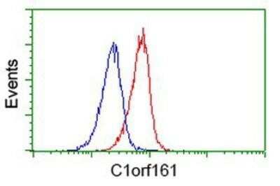 Flow Cytometry: MAB21L3 Antibody (OTI1F6) [NBP2-00611]