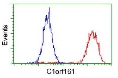 Flow Cytometry: MAB21L3 Antibody (OTI2A3) - Azide and BSA Free [NBP2-72562]