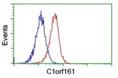 Flow Cytometry: MAB21L3 Antibody (OTI2A3) - Azide and BSA Free [NBP2-72562]