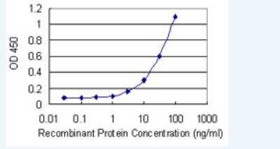 ELISA: MAF1 Antibody (2D6) [H00084232-M02-100ug]