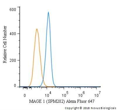 Flow (Intracellular): MAGEA1 Antibody (SPM282) [NBP2-32871]