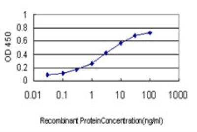 ELISA: MAGEA9 Antibody (2C2) [H00004108-M04]