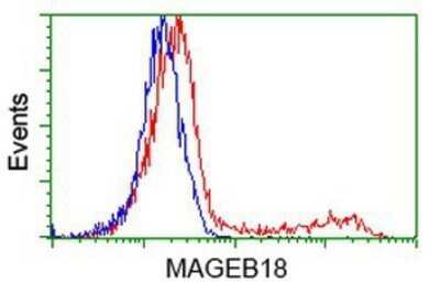 Flow Cytometry: MAGEB18 Antibody (OTI1F5) - Azide and BSA Free [NBP2-72575]