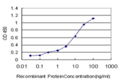 ELISA: MAGI1 Antibody (7B4) [H00009223-M03]