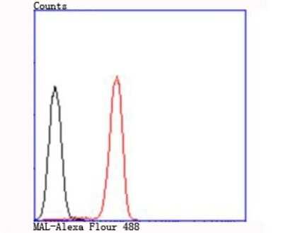 Flow Cytometry: MAL Antibody (B5-G3) [NBP2-75563]