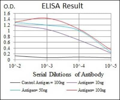 ELISA: MAP2 Antibody (5B7) - BSA Free [NBP2-37734]