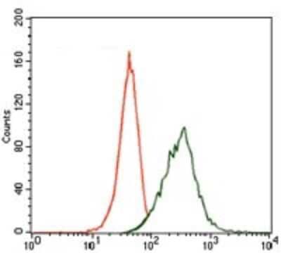 Flow Cytometry: MAP2 Antibody (5B7) - BSA Free [NBP2-37734]