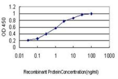 ELISA: MARK2 Antibody (3B12) [H00002011-M01]