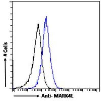 Flow Cytometry: MARK4 Antibody [NB100-1013]