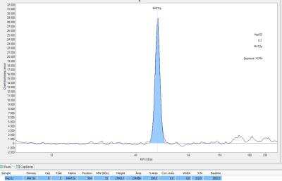 Simple Western: MAT2A AntibodyBSA Free [NB110-94158]