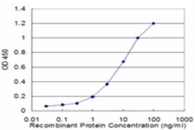 ELISA: MATH2/NEUROD6 Antibody (3B3) [H00063974-M06]