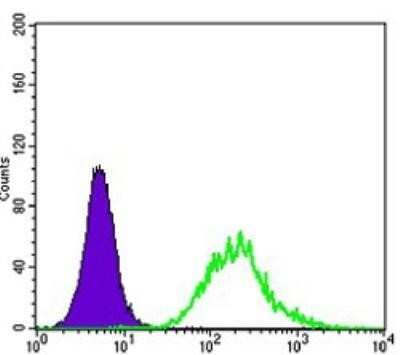 Flow Cytometry: MATK Antibody (9D7) - BSA Free [NBP1-47454]