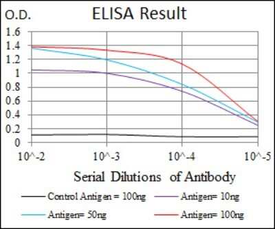 ELISA: MBP Antibody (2H9) - Azide and BSA Free [NBP2-80844]