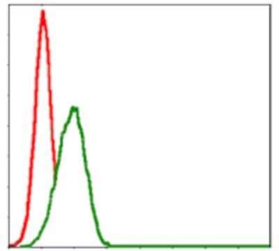 Flow Cytometry: MBP Antibody (2H9) - Azide and BSA Free [NBP2-80844]