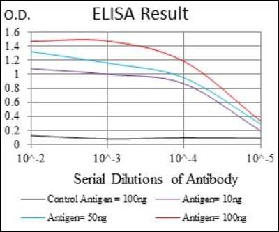 ELISA: MCAM/CD146 Antibody (6C3E6) - BSA Free [NBP2-37365]