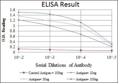 ELISA: MCM2 Antibody (2B3) - BSA Free [NBP2-37566]