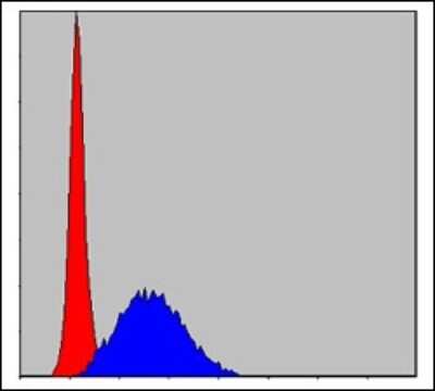 Flow Cytometry: MCM2 Antibody (2B3) - BSA Free [NBP2-37566]