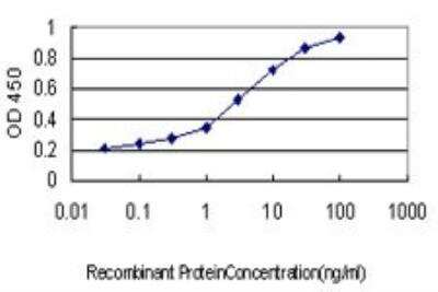 ELISA: MCM2 Antibody (6A8) [H00004171-M01]