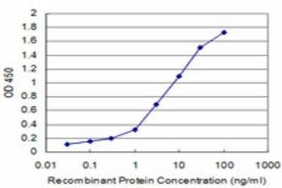 ELISA: MCM3 Antibody (2H3) [H00004172-M04]