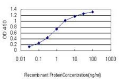 ELISA: MCPH1 Antibody (5C9) [H00079648-M07]