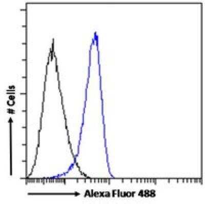 Flow Cytometry: MDA5 Antibody [NB110-1244]