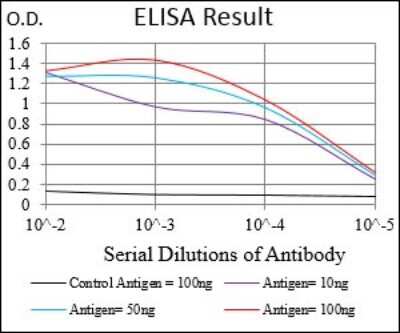 ELISA: MDR1/ABCB1 Antibody (6G11C12) - BSA Free [NBP2-37294]