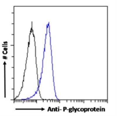 Flow Cytometry: MDR1/ABCB1 Antibody (MRK16) - Chimeric - Azide and BSA Free [NBP2-52654]