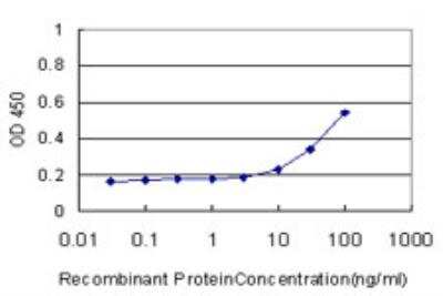 ELISA: MEF2A Antibody (1A7) [H00004205-M06]