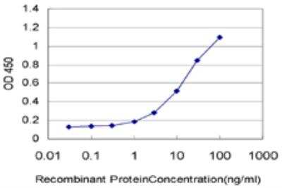 ELISA: MEF2A Antibody (1C8) [H00004205-M15]