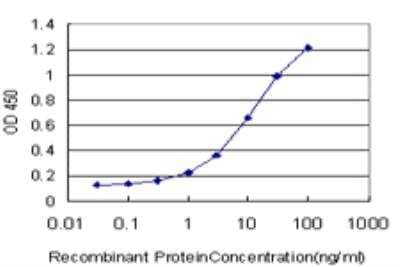 ELISA: MEF2A Antibody (1F8) [H00004205-M08]