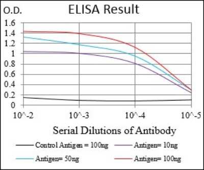 ELISA: MEF2A Antibody (2F9H2) - BSA Free [NBP2-37298]