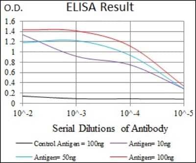 ELISA: MEF2C Antibody (6H2G2) - BSA Free [NBP2-37427]