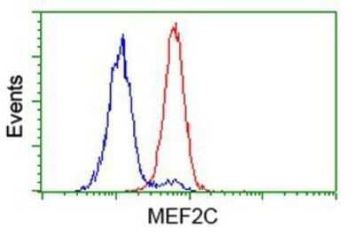 Flow Cytometry: MEF2C Antibody (OTI1H5) - Azide and BSA Free [NBP2-72627]