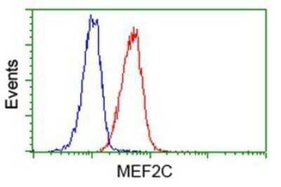 Flow Cytometry: MEF2C Antibody (OTI1H5) - Azide and BSA Free [NBP2-72627]