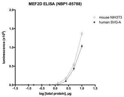 ELISA: MEF2D Antibody [NBP1-85788]