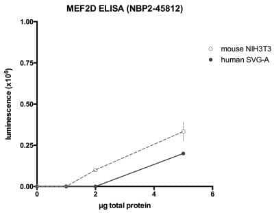 ELISA: MEF2D Antibody (OTI1E11) [NBP2-45812]