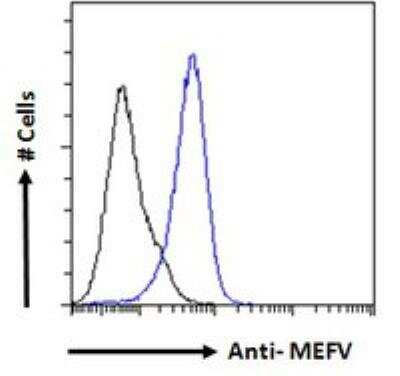 Flow Cytometry: MEFV Antibody [NB600-809]