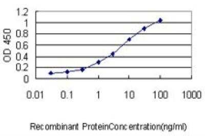 ELISA: MEIS2 Antibody (1H4) [H00004212-M01]