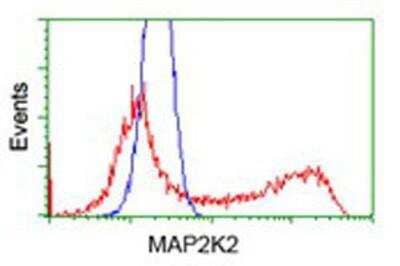 Flow Cytometry: MEK2 Antibody (OTI8G6) [NBP1-47836]