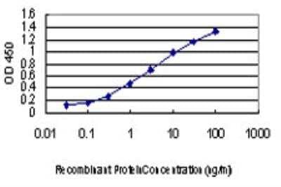 ELISA: MEKK4 Antibody (6A12) [H00004216-M06]