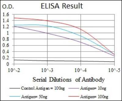 ELISA: MELK Antibody (2G2) - BSA Free [NBP2-37481]