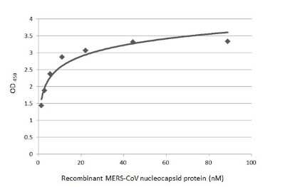 ELISA: MERS-CoV Nucleoprotein Antibody [NBP3-13422]