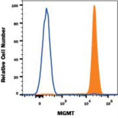 Flow Cytometry: MGMT Antibody (MT 23.2) - BSA Free [NB100-168]