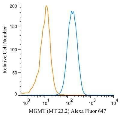 Flow (Intracellular): MGMT Antibody (MT 23.2) - BSA Free [NB100-168]